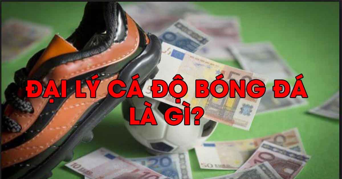 đại lý cá độ, đại lý cá cược, nhà cái cá độ, nhà cái cá cược, đại lý cá độ bóng đá, đại lý cá cược bóng đá, nhà cái cá độ bóng đá, nhà cái cá cược bóng đá , đại lý cá độ bóng đá online, đại lý cá độ bóng đá trên mạng, nhà cái cá cược bóng đá online, nhà cái cá cược bóng đá trên mạng, nhà cái cá độ bóng đá online, nhà cái cá độ bóng đá trên mạng, đại lý, nhà cái, cược bóng,